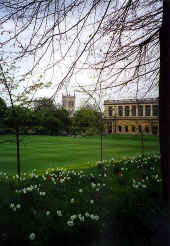 settings-elena-cambridgeinspring.jpg (51361 bytes)